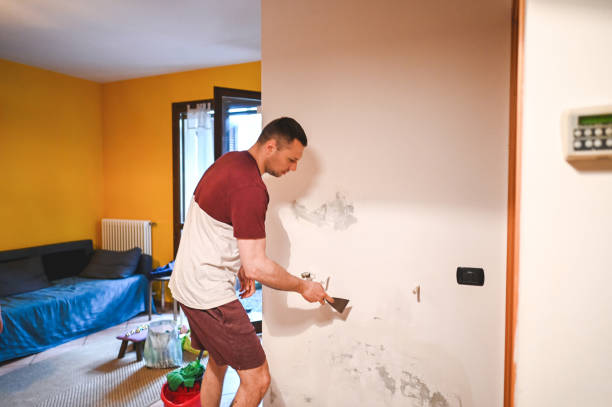 Best Office Mold Removal Services  in Minonk, IL